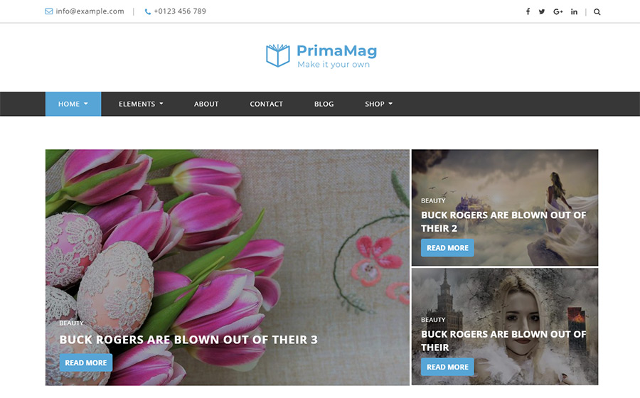 PrimaMag - Magazine and Blog WordPress Theme