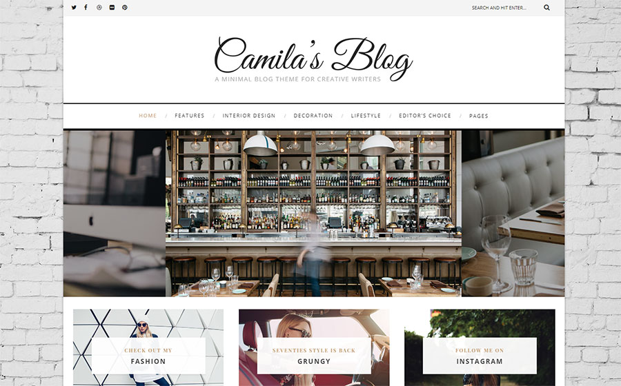 Camila - Minimal Blog WordPress Theme