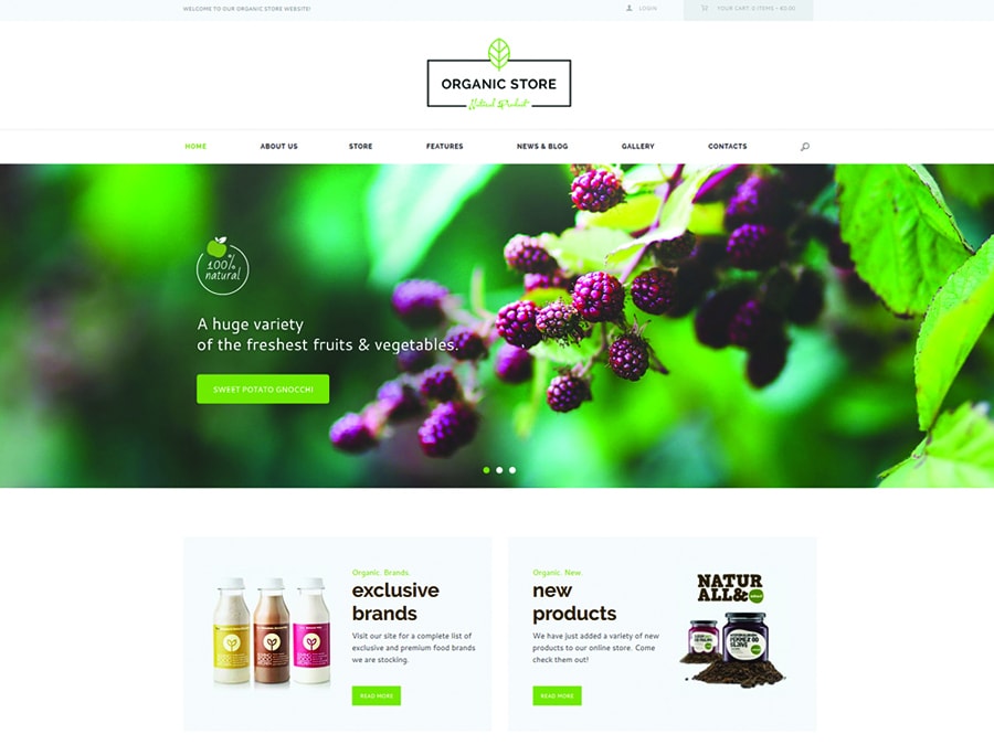 Organic Store | Organic Food & Eco Products WordPress Theme + RTL